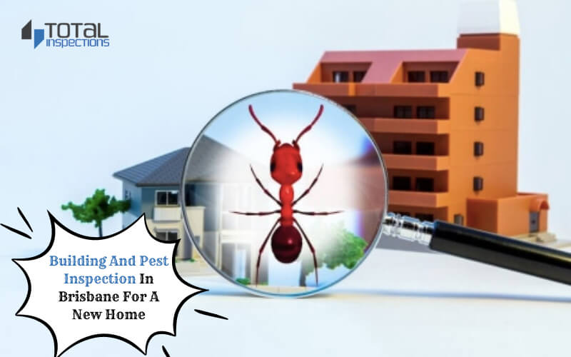 DO YOU NEED A BUILDING AND PEST INSPECTION IN BRISBANE FOR A NEW HOME?