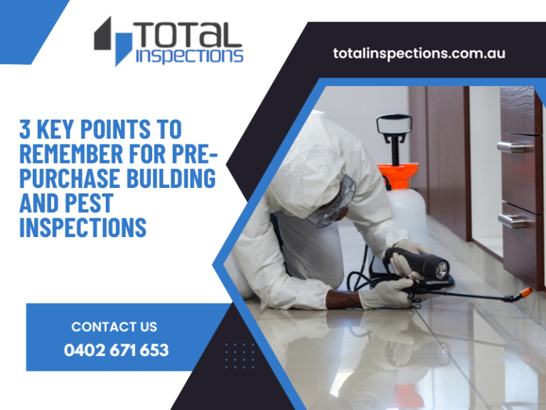 3-key-points-to-remember-for-pre-purchase-building-and-pest-inspections