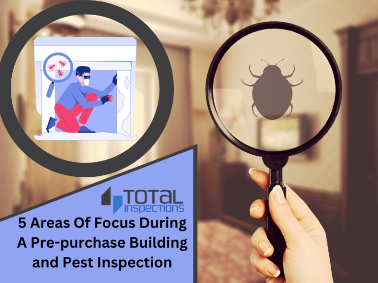 5-areas-of-focus-during-a-pre-purchase-building-and-pest-inspection