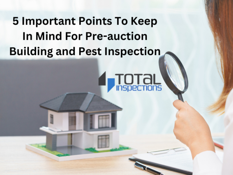 5-important-points-to-keep-in-mind-for-pre-auction-building-and-pest-inspection