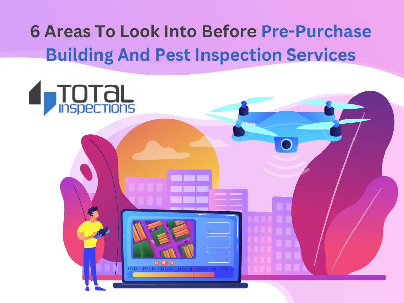 6-areas-to-look-into-before-pre-purchase-building-and-pest-inspection-services