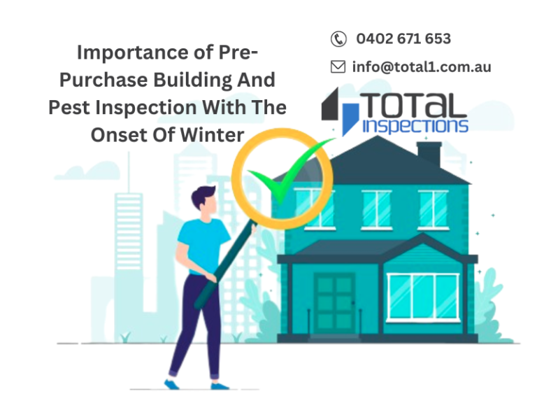 importance-of-pre-purchase-building-and-pest-inspection-with-the-onset-of-winter