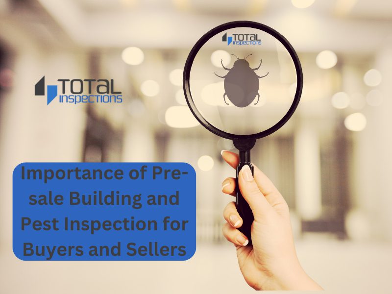 importance-of-pre-sale-building-and-pest-inspection-for-buyers-and-sellers