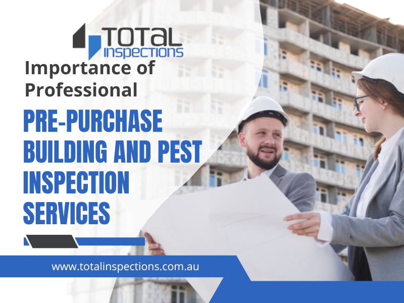 importance-of-professional-pre-purchase-building-and-pest-inspection-services