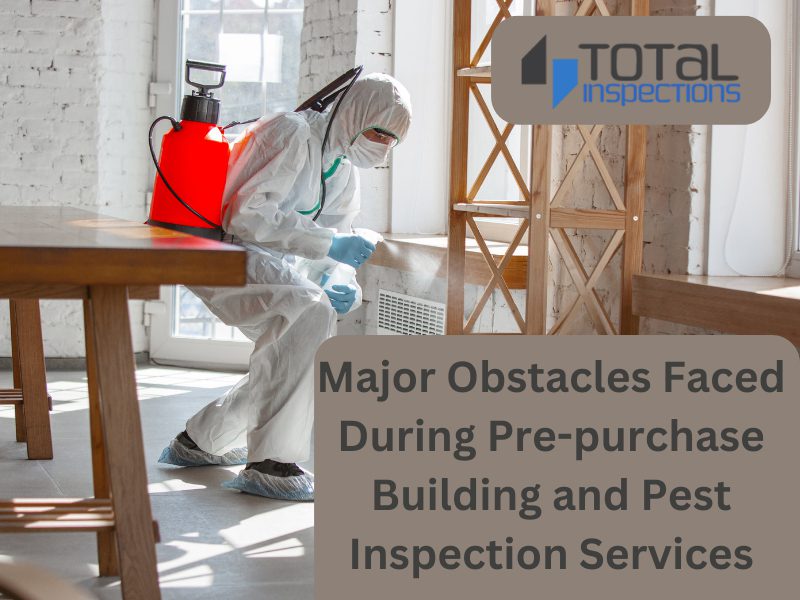 major-obstacles-faced-during-pre-purchase-building-and-pest-inspection-services