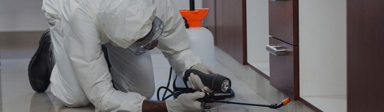 Pest inspector treating indoor areas during a professional pest inspection service.