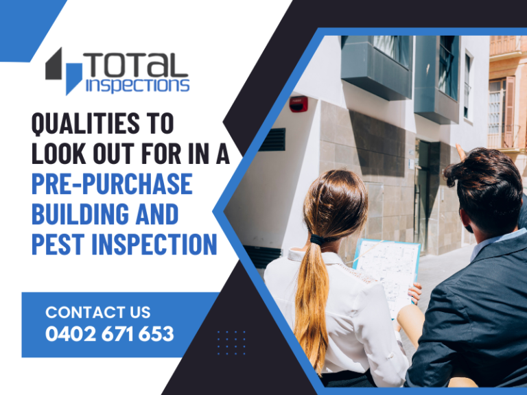 qualities-to-look-out-for-in-a-pre-purchase-building-and-pest-inspection