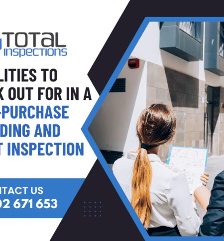 qualities-to-look-out-for-in-a-pre-purchase-building-and-pest-inspection